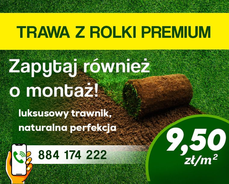 TRAWA Z ROLKI PREMIUM Polski Producent dostawa montaż