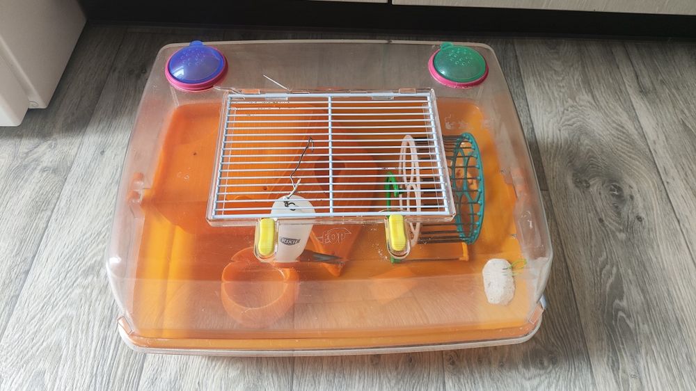 Клітка для хом'яка пластикова з усіма аксесуарами.