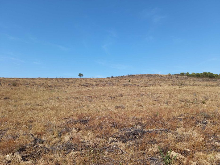 Terreno rústico, sitio Cerro do Pereiro