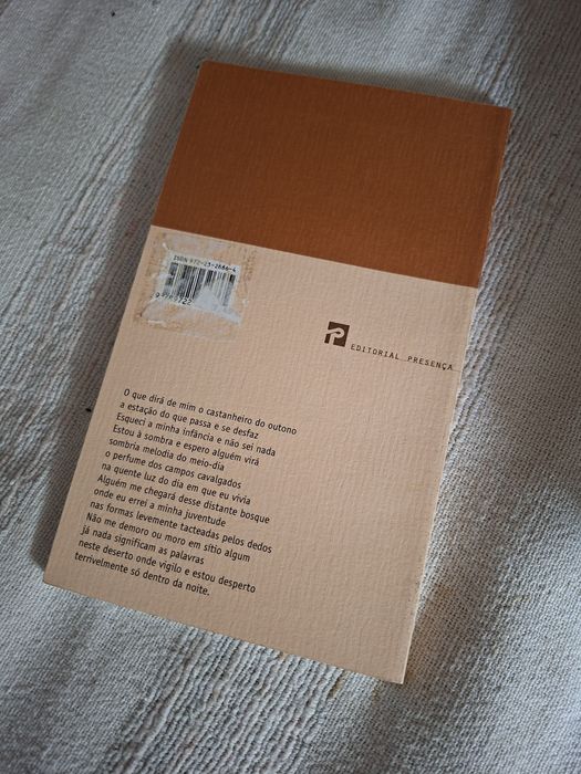 Poesia Ruy Belo Despeço-me da Terra da Alegria