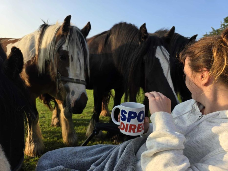Tinkery/gypsy coby całe STADO