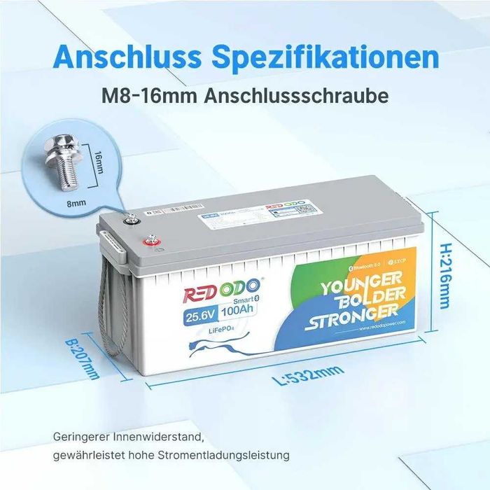 Redodo 24V 100Ah battery LiFePO4 Bluetooth BMS Smart