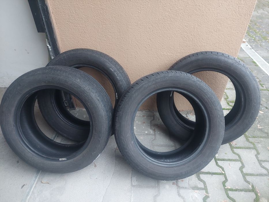 Opony letnie Dębica 91V 205/55/R16 2019r 6mm bieżnik