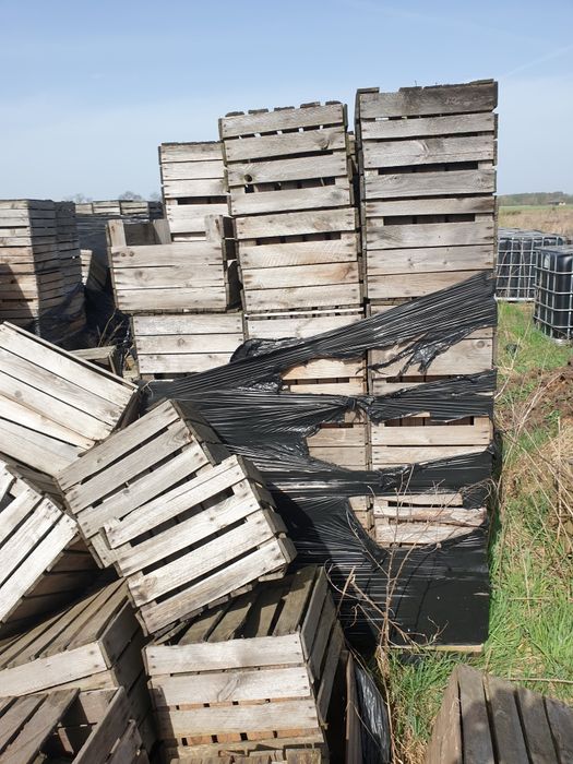 Skrzynki drewniane jedynki plastikowe do ogrodu na działkę doniczka