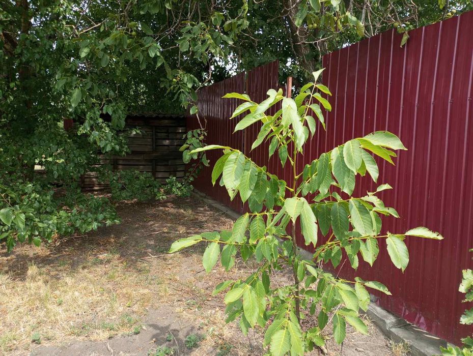 Продається будинок