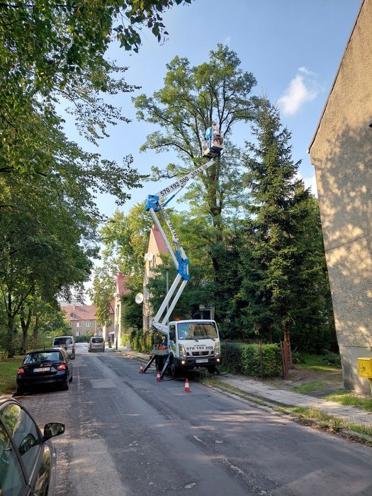 Usługi podnośnikiem kosz zwyżka Pabianice