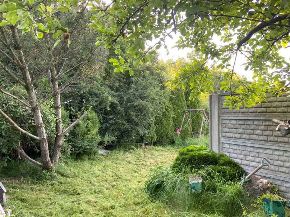 Działka rekreacyjna RODO Radość Łódź - Widok 6