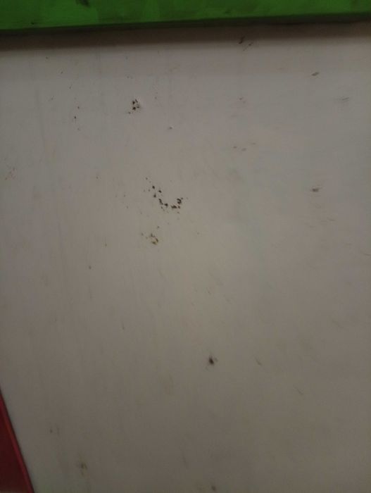 Quadro magnético e de giz