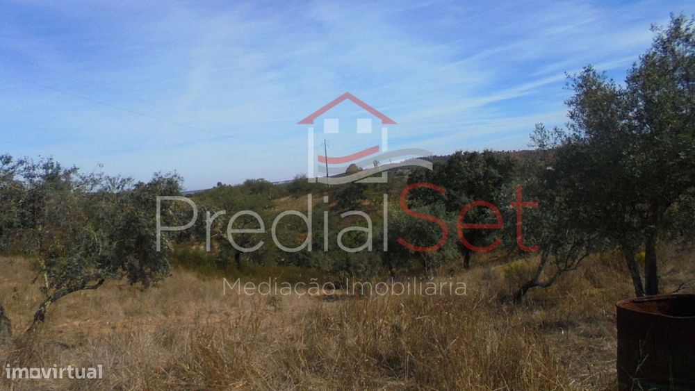Herdade de Montado -Grândola — Azinheira dos Barros, Setúbal