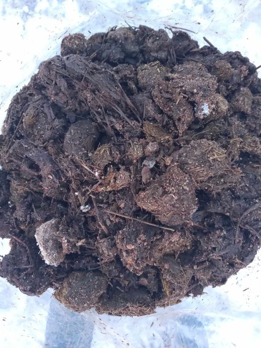 Przerobiony, sezonowany obornik koński ekologiczny