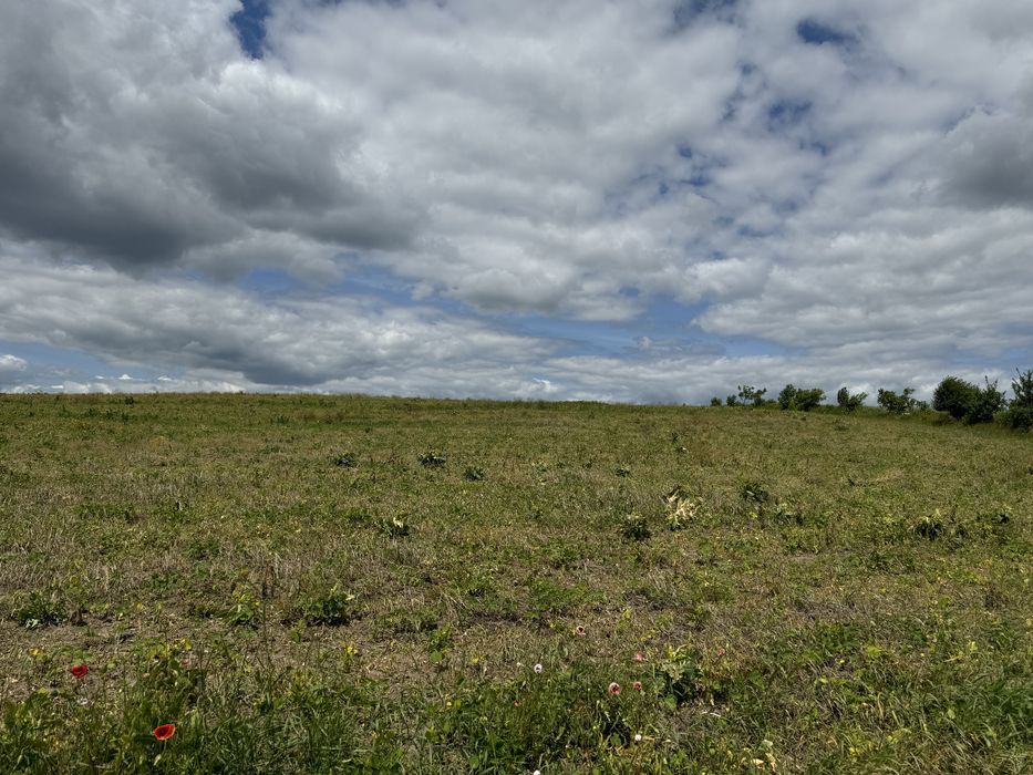 Продаж земельної ділянки в Колоденці 15.5 сотки біля ставу і лісу