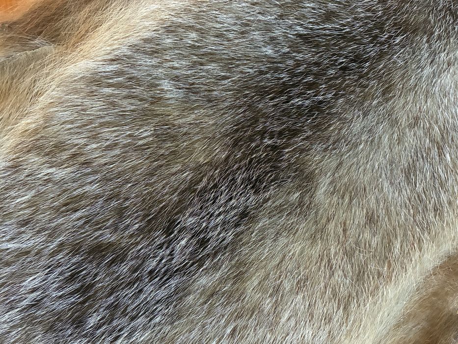Pele de Texugo Verdadeiro