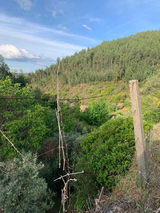 Terreno com palheiro em Ruinas