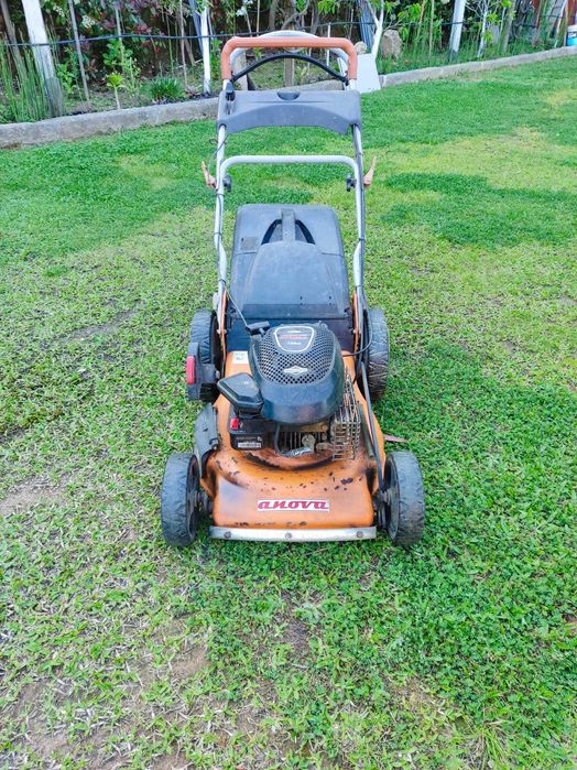 Máquina de cortar relva anova