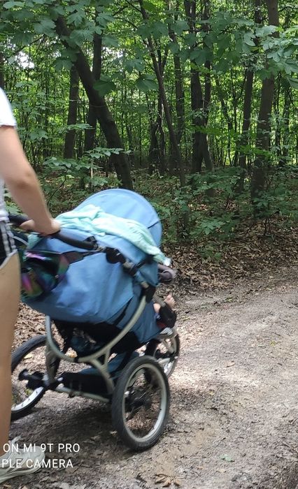 Wózek xlander xrun