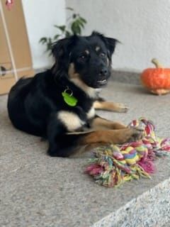 Czekam na dom - Kira