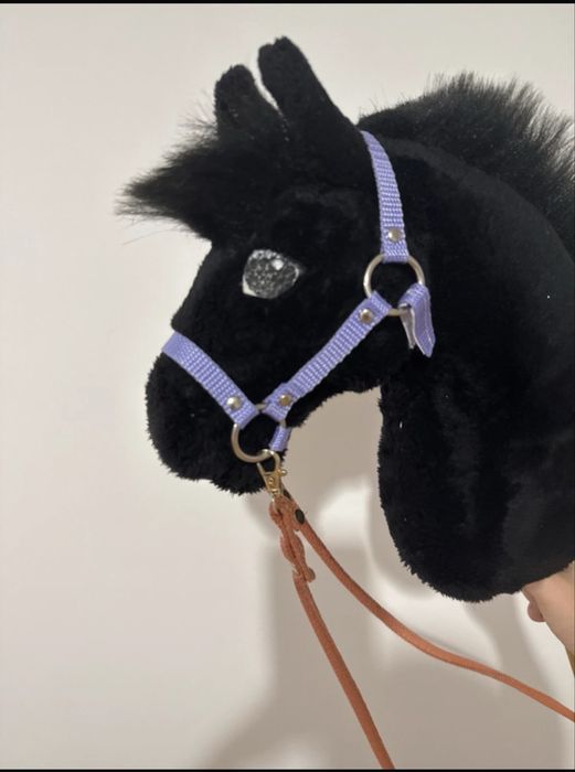 Hobby horse z sprzetem a4