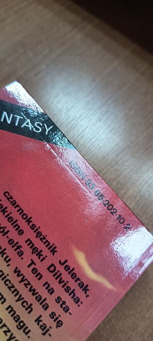 Książka dilvish przeklęty