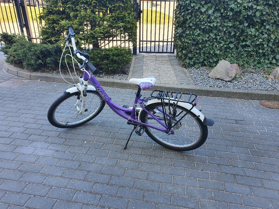 Rower unibike PRICESSA