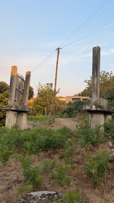 Canastro/Espigueiro