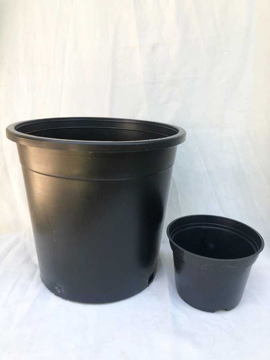 NOVOS: Vasos de cultivo e produção em Plástico Rígido - 1,3L e 10L