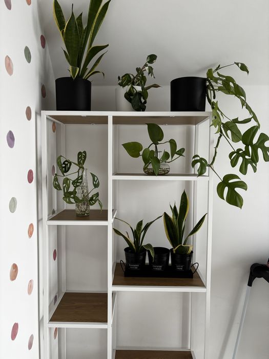 Regal na kwiaty loft witryna kwietnik