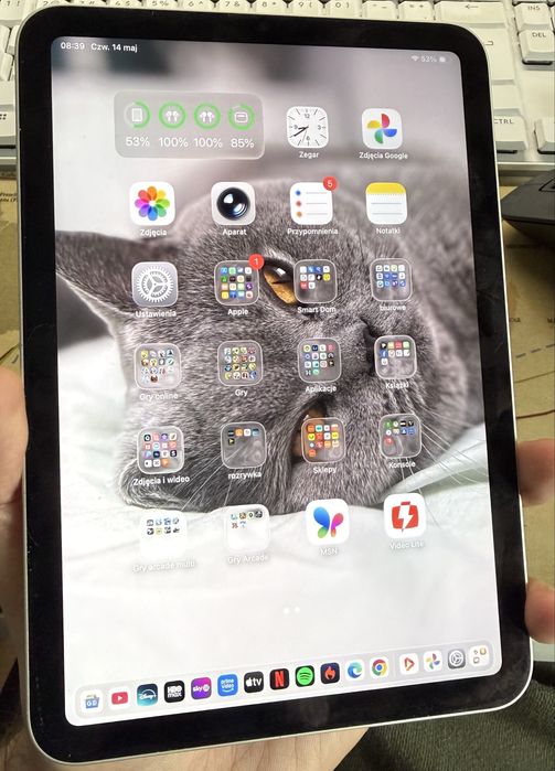 Apple iPad mini (6th generation) 256GB - Igła