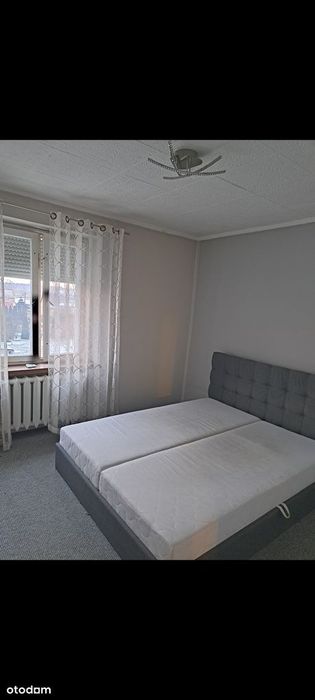 Zdjęcie 7
