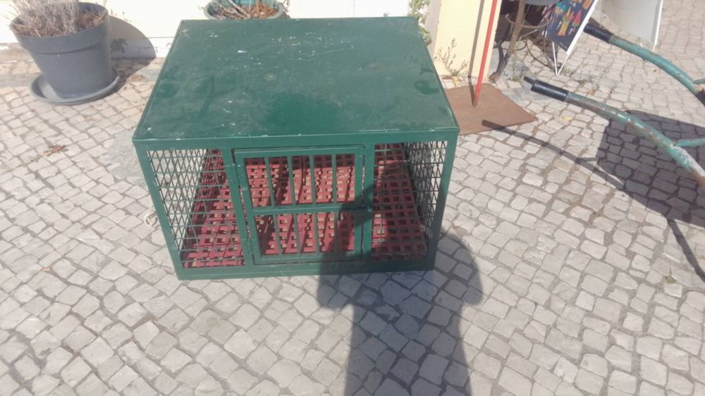 Caixa de cães li