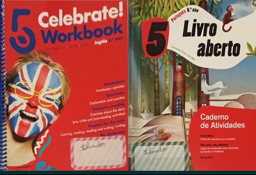 Livros de fichas e manuais 5 ano