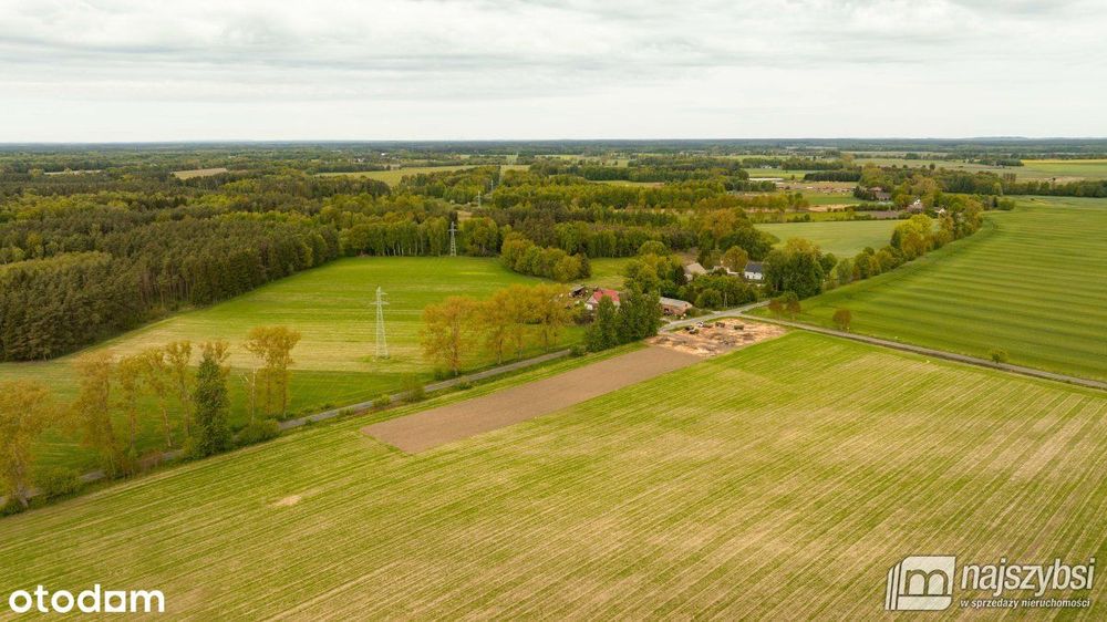 Dąbrowa Nowogardzka-działki z warunkami zabudowy