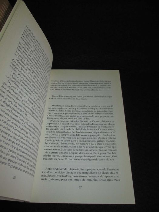 Livro Eu a Puta de Rembrandt Sylvie Matton