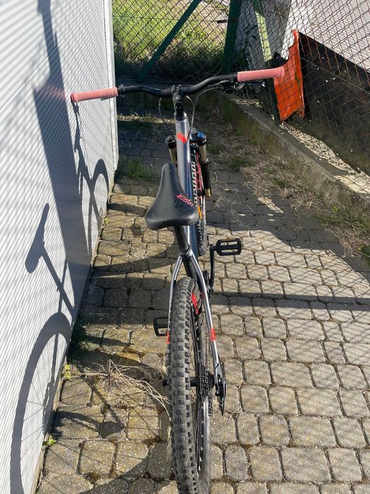 Kellys Whip 50 Rama M