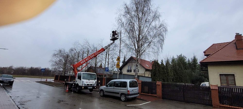 Wycinka drzew czyszczenie działek koszenie