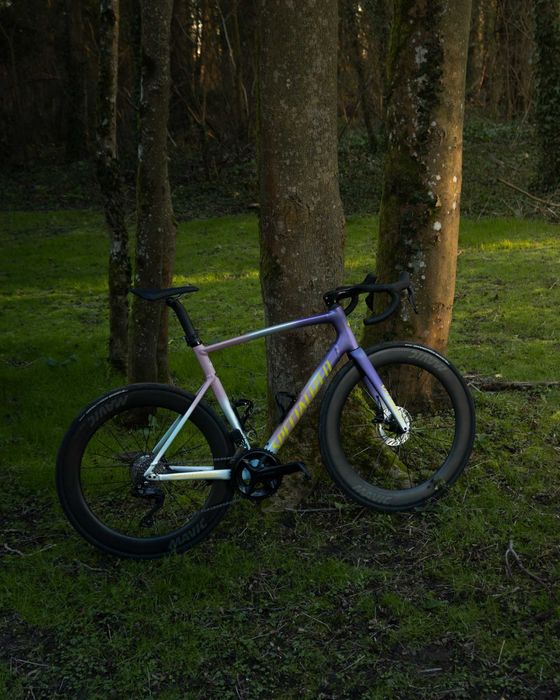 Specialized Allez Sprint 2025 – Tamanho 58 – Build 1 de 1