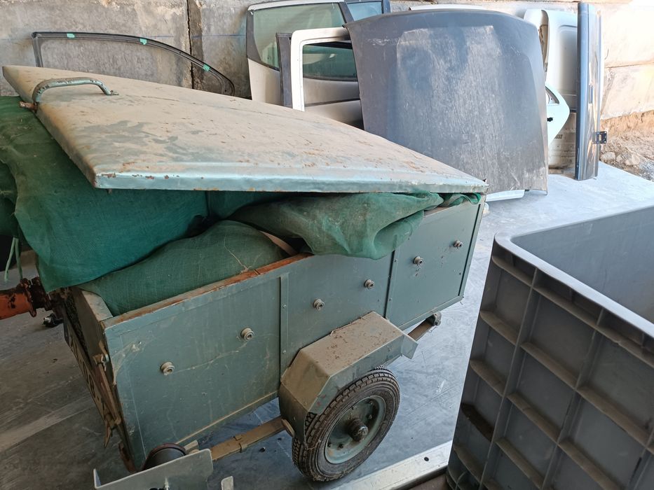 Atrelado cães caça