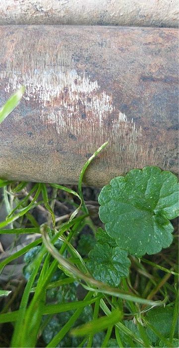 Вал нержавійка