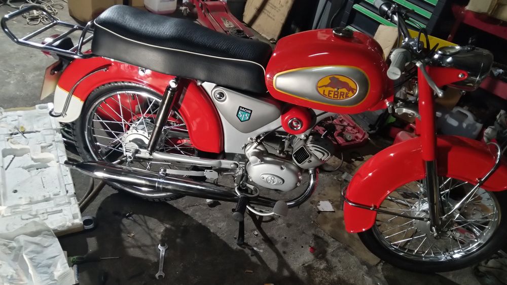 Sachs lebre 1972