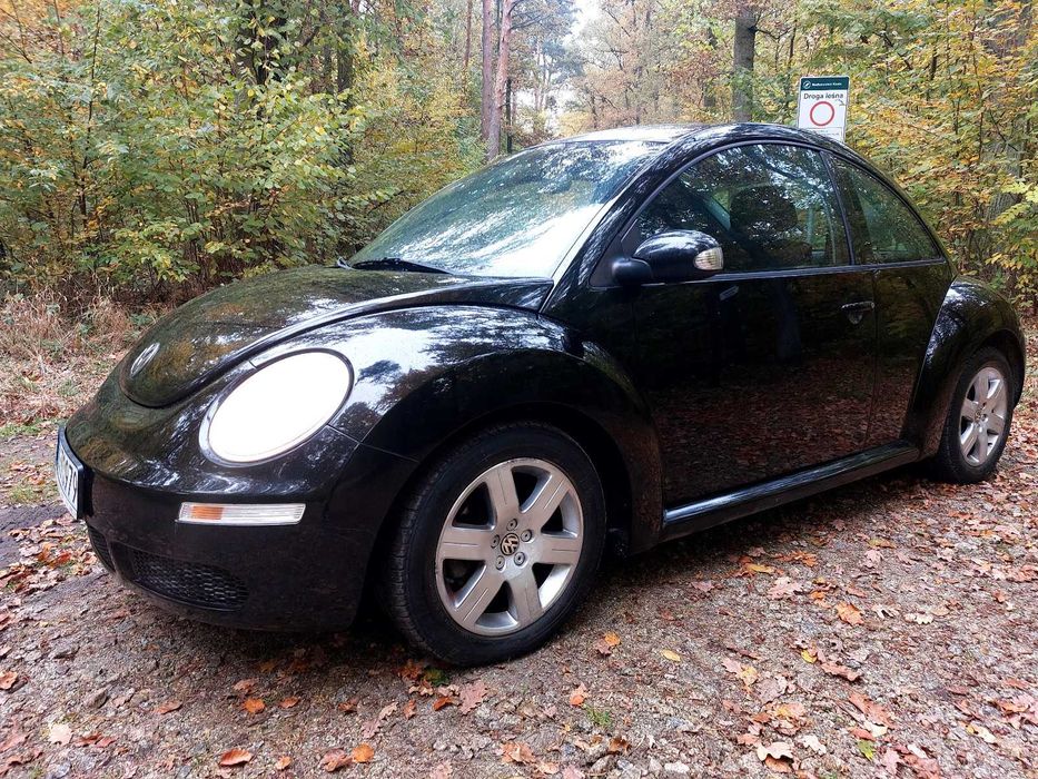 Volkswagen BEETLE