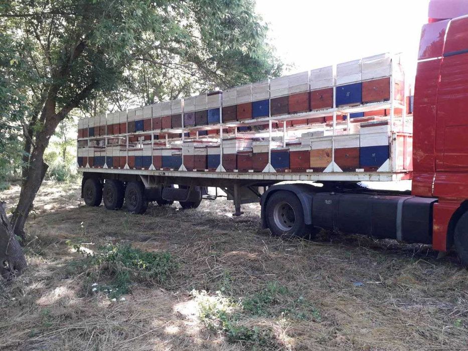 Прецеп для перевезення пасіки