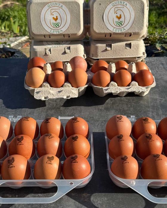 Ovos Caseiros Selecionados – Produção Limitada