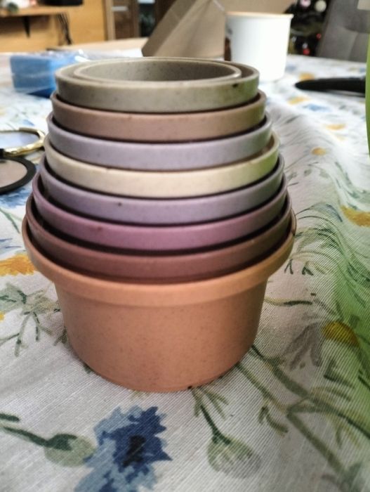 Transporter dla świnki morskiej