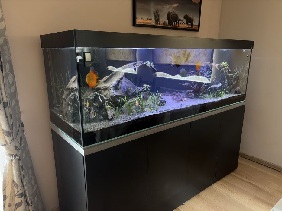 Akwarium 720 litrow