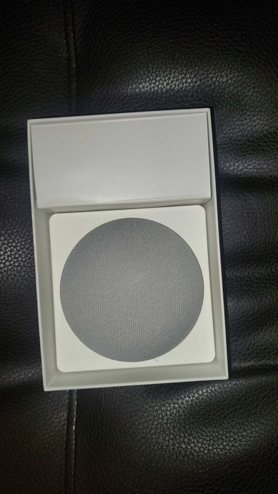 Google Nest Mini (2nd Gen)