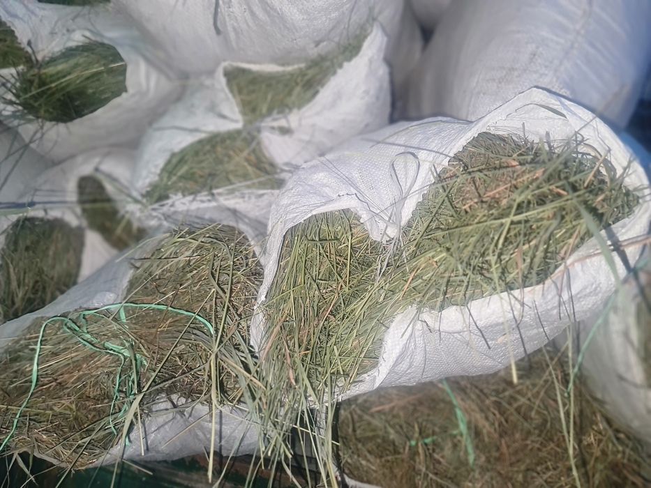 Сено для Шиншилл и других Грызунов!