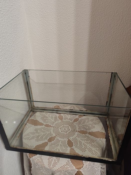 Aquário  de vidro dá para répteis