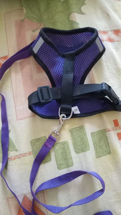 Продам ошейник для кошечки  или маленькое собачки.