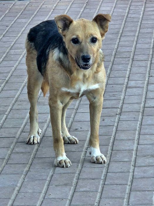 Luka i Diego szukamy cudu ale próbujemy