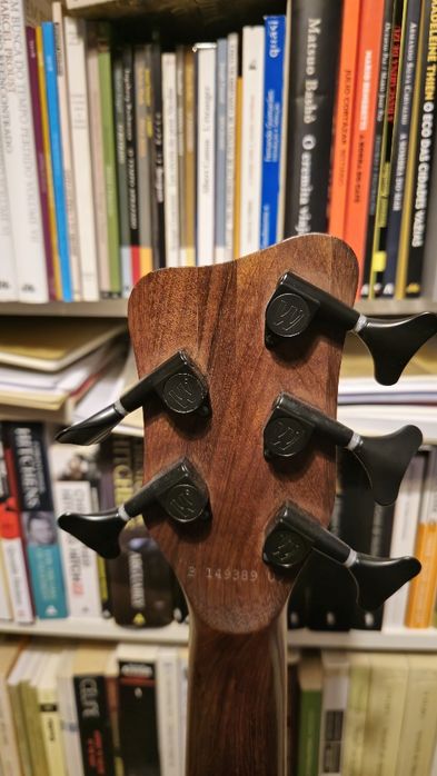 Warwick Thumb Bo Fretless