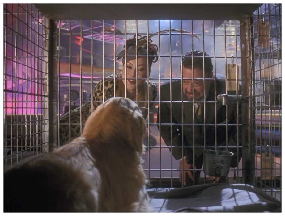 BAILEY Um Cão que vale Milhões (Tim Curry/Jennifer Tilly) NOVO/SELADO